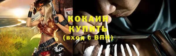 сатива Горнозаводск