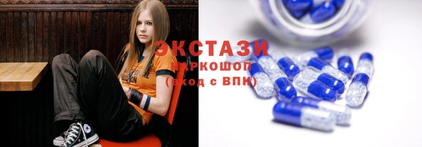 стаф Зерноград