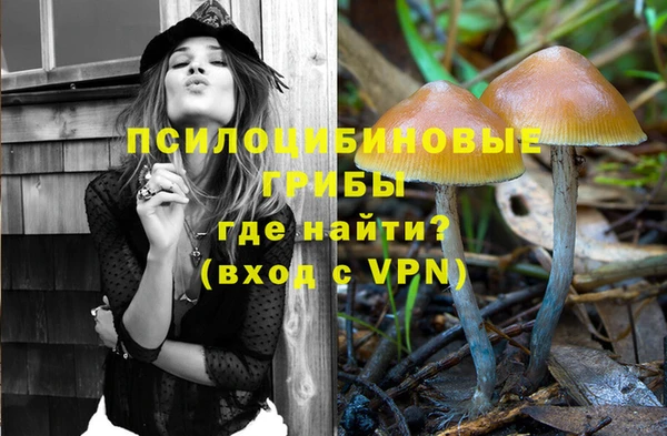 герыч Алексин