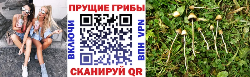 Псилоцибиновые грибы Magic Shrooms  Барыш 